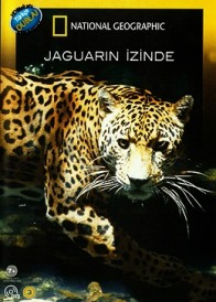 Jaguarın İzinde